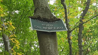 Forêt de DREUX